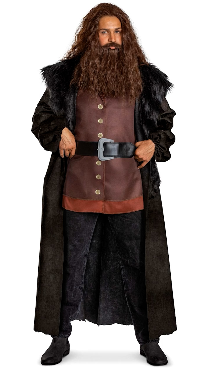 DI198339X Ai Plus Deluxe Harry Potter Hagrid